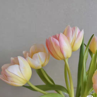 �������r�л� ����r�����껨������ֱ����c��ͥ�k����ƿ�廨