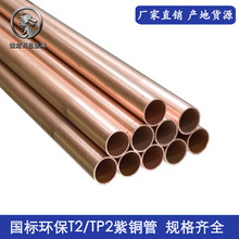 �|ݸ�F؛���~�� ���{����ֱ�� ���˭h��c1100/T2���~��