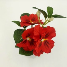 ���S���l���滨�羳���u�ٻ�������ɫ���軨�Ҿ����P�͏d�Ĕz����