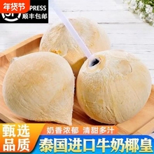 现摘海南牛奶椰皇当季丹嫩沙多椰子新鲜水果老椰椰青煲鸡汤包邮