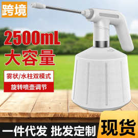 充电式电动喷壶2L超细雾浇花园艺喷花全自动智能耐酸碱清洁喷雾器