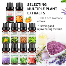 �羳 ֲ��ͷ����� õ��޹�²ݱ��ɰ�Ħ���Ϳ羳���w��Ħ�o�w����