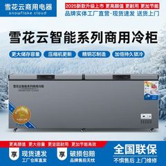 スノーフレーククラウドインテリジェント水平銅管冷蔵冷凍商業省エネ冷凍庫家庭用単一温度急速冷凍冷凍庫シリーズ