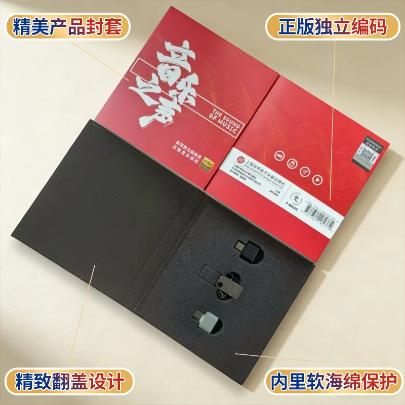 Music small capacious USB flash drive, new collection, 64G