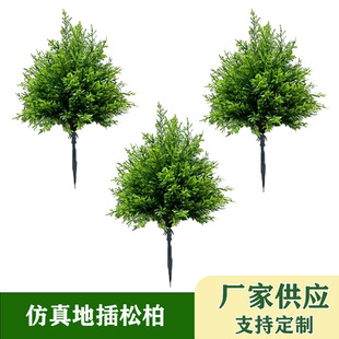 �羳�����}�Q�ز��ɰؘ�����ɲ��辰�����ɰ��~����ҾӾG���b�