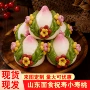 山东特产贺寿老人面点