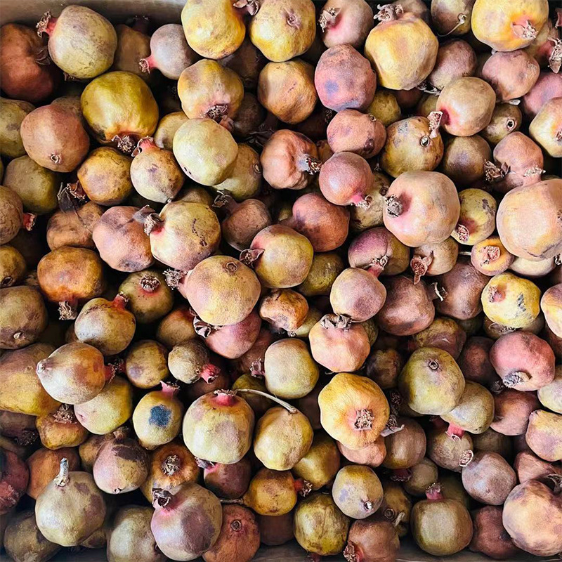 Branches de grenades artificielles pour décoration dintérieur_voghion.com