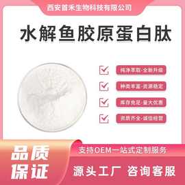 水解鱼胶原蛋白肽98%鳕鱼胶原蛋白深海鱼小分子罗非鱼多肽