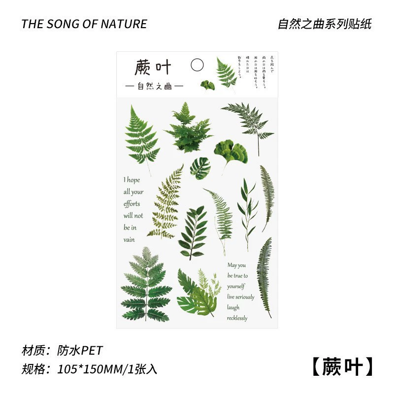 Transparent Waterproof Stickers, Floral & Botanical Designs, Small 3.33×1×0.33 cm, Assorted