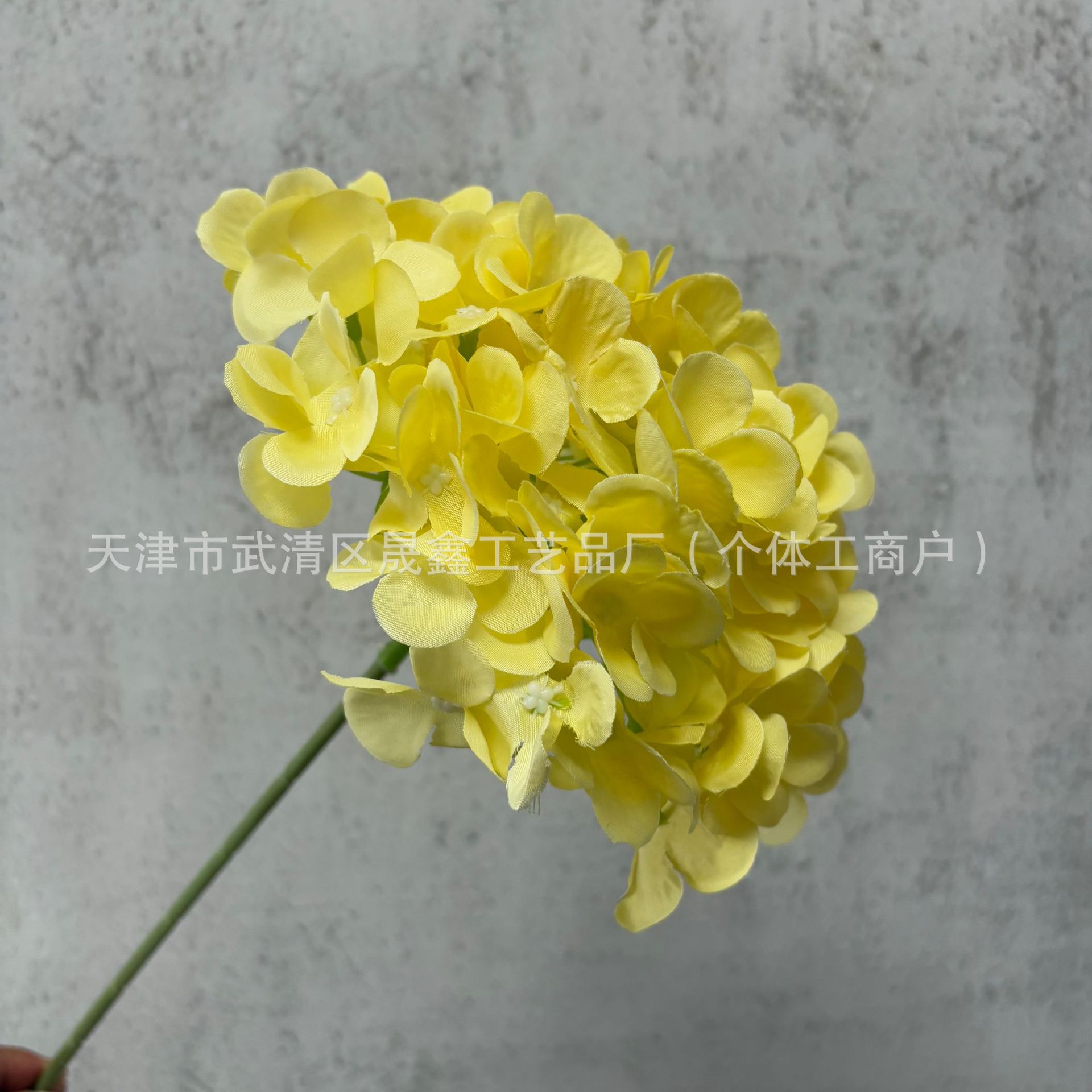 Cream yellow-k