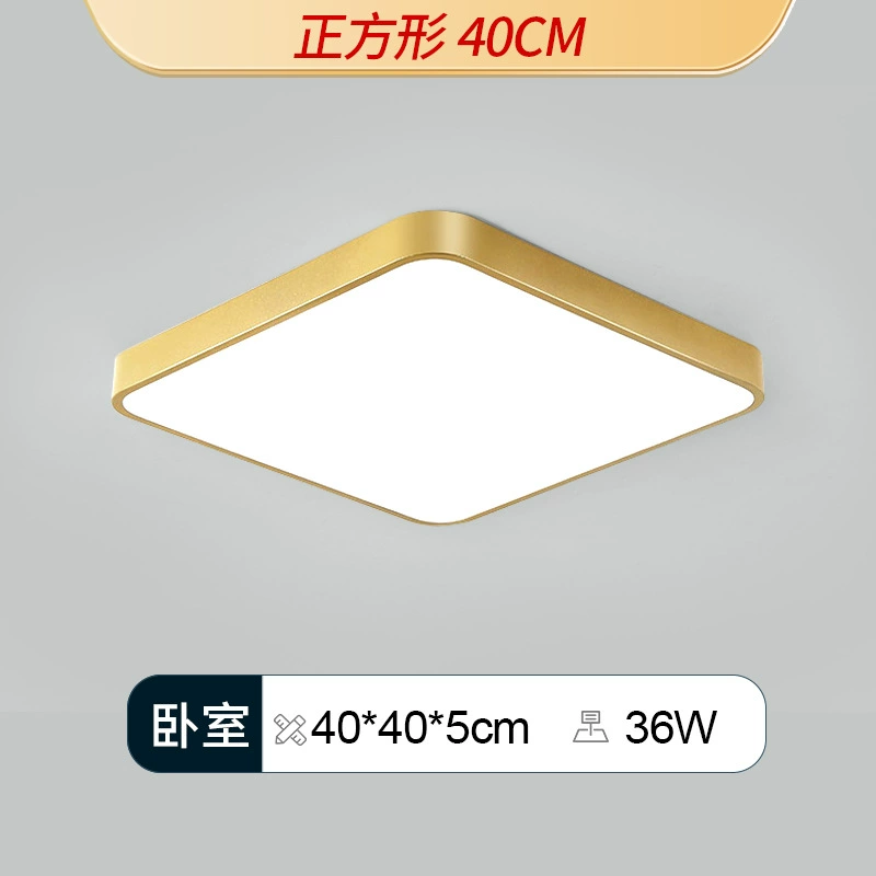 Golden LED ceiling light, lights for corridor, room light, light luxury style
