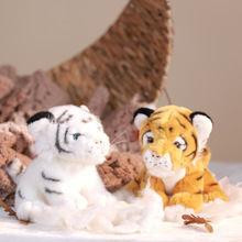 �����ϻ����Є���@�o��Ʒ�S��ë�q��߰׻���ż�����ބ���ģ��