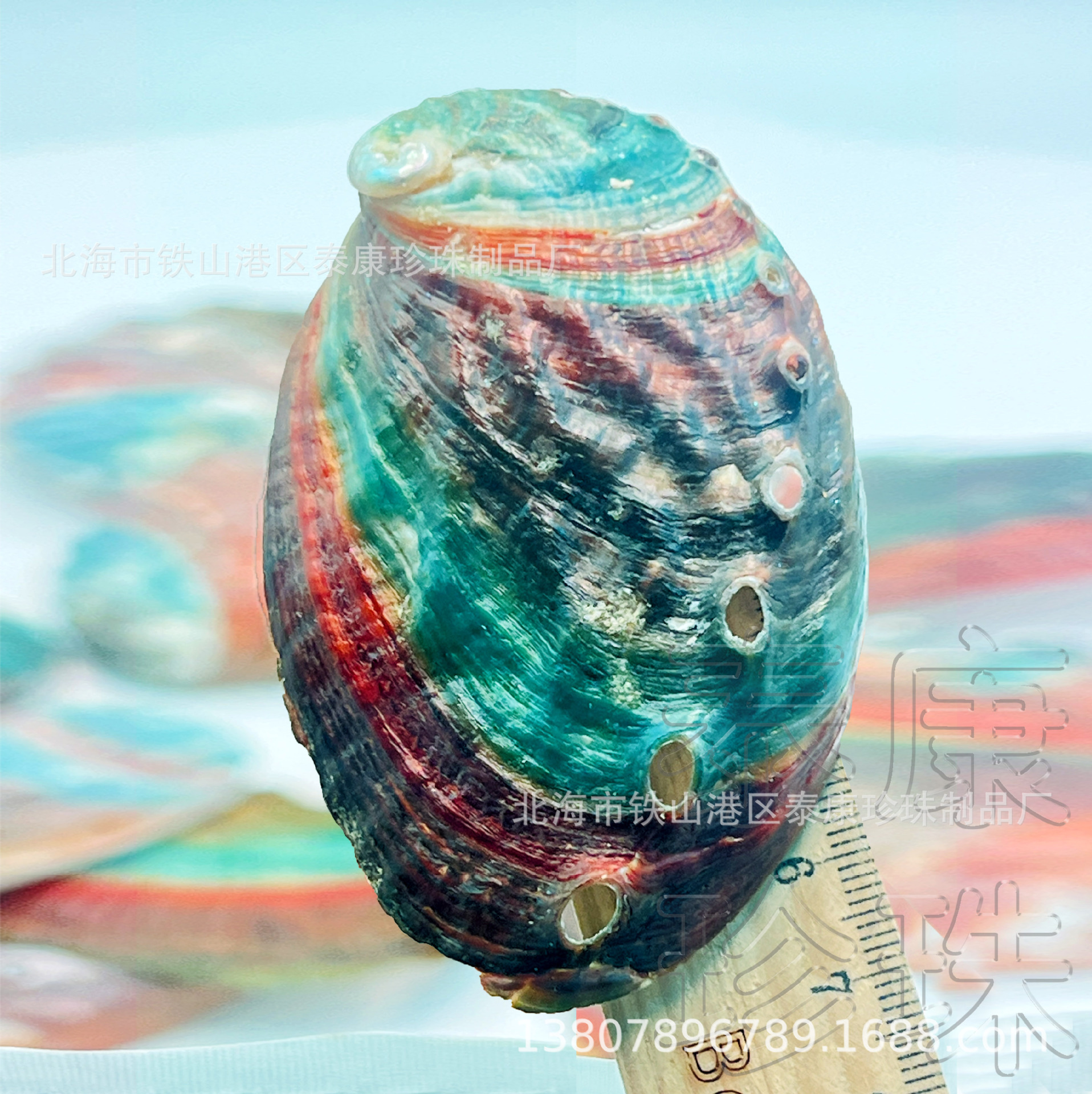 �ӹ�С���㱴��2���������쾰װ�α���ǰ����� ��Ȼ��ɫ���Ʊ�