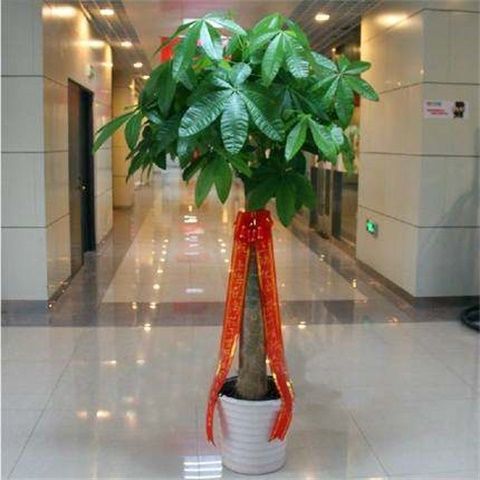 8182ce80-d1a5-483d-8d4c-6ef38468d892.jpe