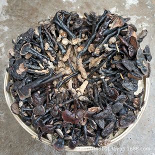 ɭ��֮��Ұ�����`֥���l���`֥500g�Ꭷ�L�_��֥��֦�Ҝ�ζ�㲻��