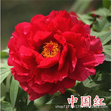 �Ї��t����ĵ������ѿ�l؛���Զ��֦��ꖻ���ֲ���҃�ͥԺ�̨