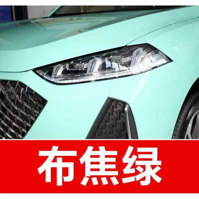Weilu, and Tank 500: Avtomobil boya qələmləri - buy-one-get-two-1-coat-of-color-paint-1-coat-of-brightening-polish-plus-a-free-toolkit-cleaning-cotton-and-applicator-brush-dark-green