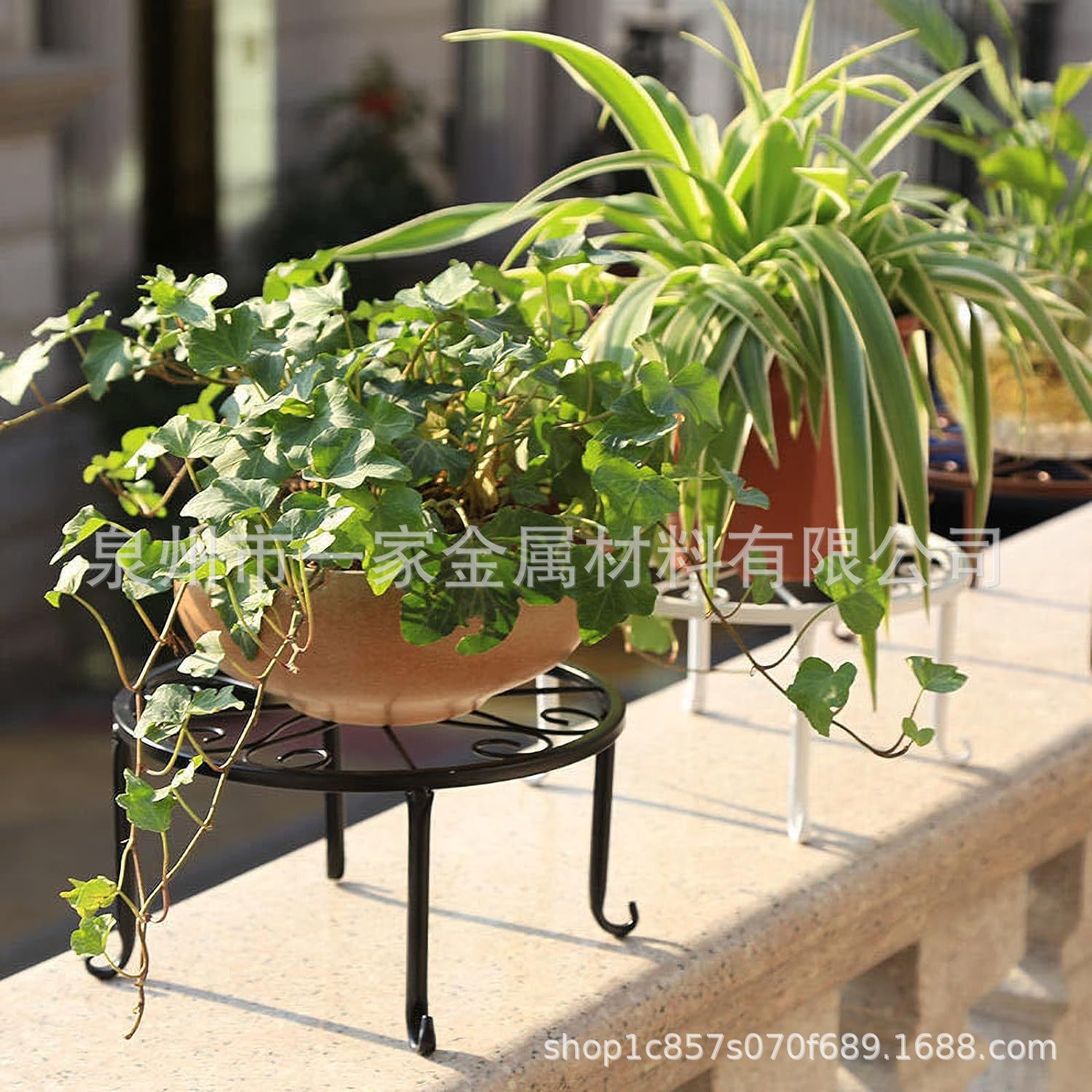 Soporte de hierro para macetas, soporte de una sola capa para plantas de patas bajas, soporte de metal para plantas, soporte redondo para flores, soporte de suelo para plantas verdes de interior image 4