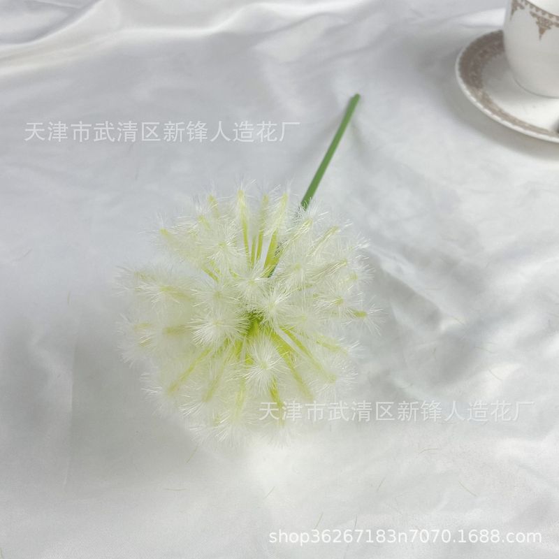 タンポポは玉ねぎの花球の造花撮影だけを模倣しています。|undefined