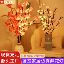 insWҾҲ÷֦ʟLEDbò廨[O҃Ȱl