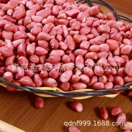 脱水蔬菜;面粉;麦类