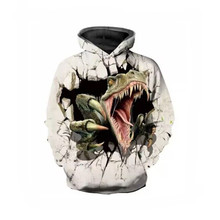 2022新款动漫与恐龙同行数码3d印花图案连帽长袖儿童款外套