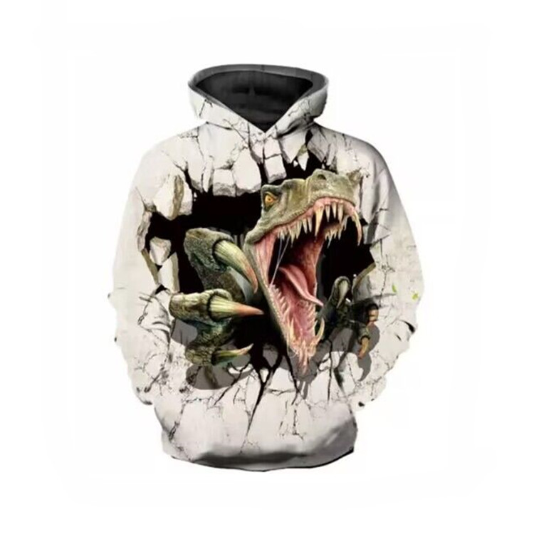 2022新款动漫与恐龙同行数码3d印花图案连帽长袖儿童款外套
