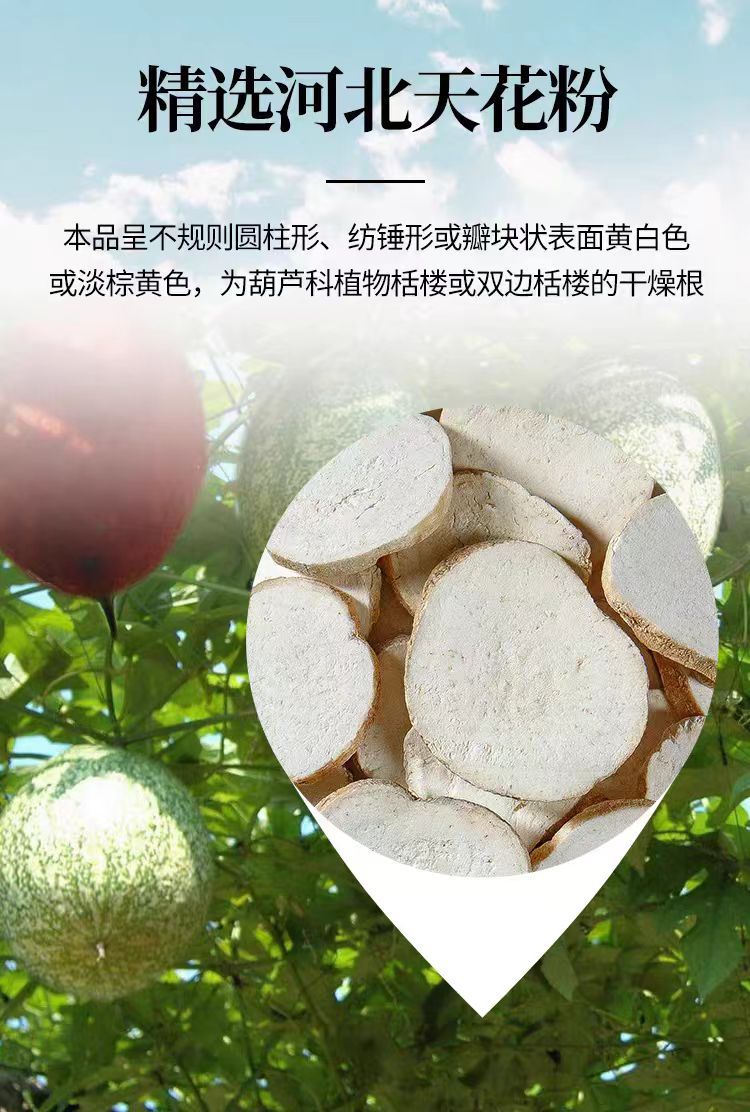 Tian Hua Fen Slices (Trichosanthes kirilowii Root) — Dried Gua Lou Root for Herbal Tea & Soup overview
