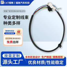 厂家供应汽车线束汽车后视镜线束新能源汽车线束连接器加工定制