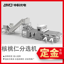 中科光电核桃仁链条机分级仁白路坏果分选定金核桃专用白仁全自动