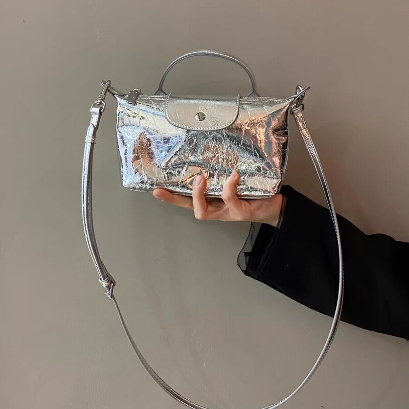 Bag Women's 2024 New French Niche Designer silver Dumpling Bag High-grade Touche Handbag Crossbody Bag
