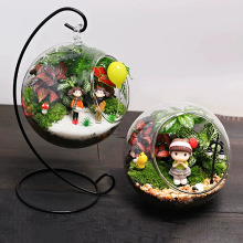 微景观生态瓶DIY植物造景瓶透明玻璃花瓶 创意苔藓多肉植物吊瓶