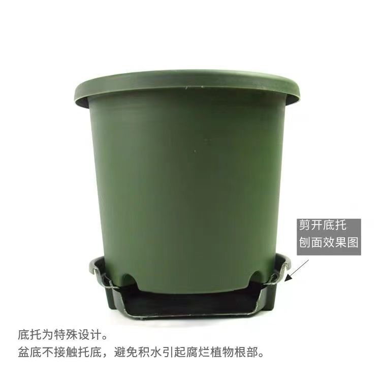 微信图片_20210205201958