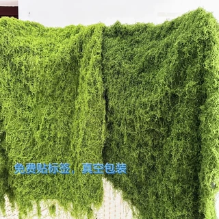 三色仿真苔藓草坪绿化景观青苔草皮水陆缸铺面植物墙水苔盆景垫材