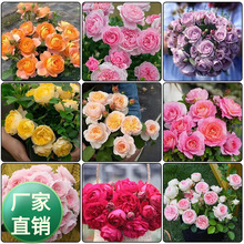 �ٱ��¼����������¼����T������ɳ��ʯ���Զ໨�Nޱ�����_��