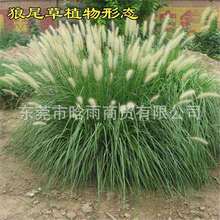 �^�p��β�ݷN������������β�ݷN�����Թ��@�G����·�ӵ��o�²���