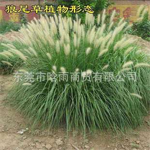 �^�p��β�ݷN������������β�ݷN�����Թ��@�G����·�ӵ��o�²���