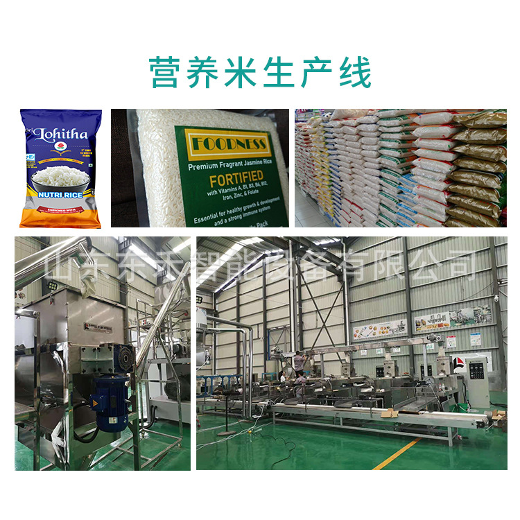 ?营养米线设备 双螺杆营养米线设备