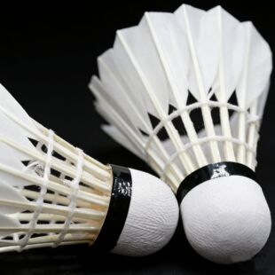 �S�����l��ë��ֱ��ë�� �ʹ򷀶� Ӗ������12ֻ�b���L