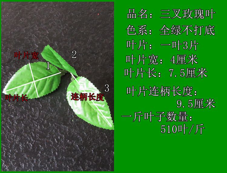 三叉玫瑰叶介绍.jpg