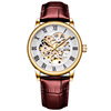 Men's watch, mechanical waterproof mechanical watch, fully automatic, wholesale