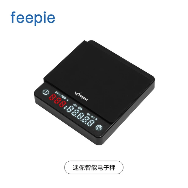 FEEPIE Timer Scale
