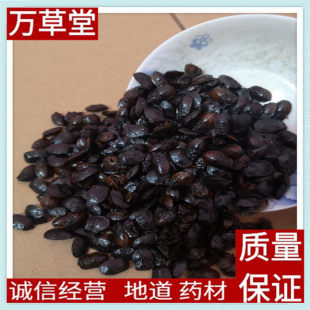 �����x 500�˰��]��Ͼ����x �ڶ��x ƨ���x �ڹ��� ƨ��