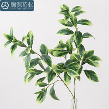 仿真植物 手感芒果叶 家居装饰摄影摆件婚庆假花芒果叶假树 批发