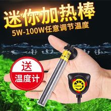 �~������ӟ�����̞����׼Ӝذ����Ԅ�С�Ͳ����ԄӐa�ذ�늟��