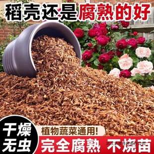 �����l�͸��쵾�Ț�����̿���l���ЙC���ϠI�B���B���N��ͨ��