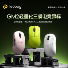 LEOBOG GM2�o�������ģ�о��{���k��늸��Α�FPS����lol����pro