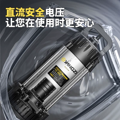 Yangzi Dc Submersible Sewage Cutting Pump 12V/24V/48V/60V Universal Electric Battery Car Water Pump 2