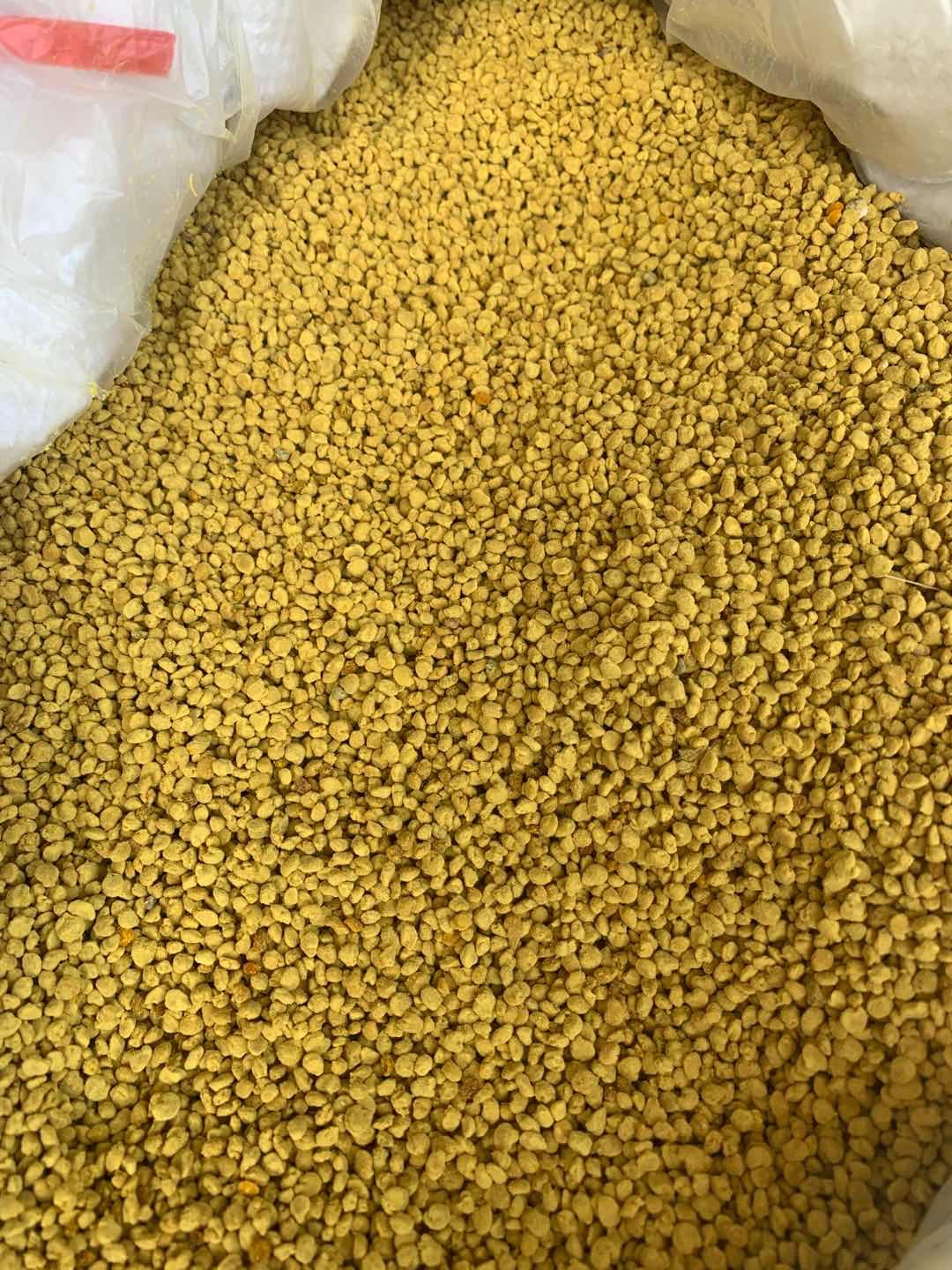 Rapeseed Bee Pollen (Brassica napus) — Qinghai Large-Granule Edible Pollen, 500g Bulk specifications