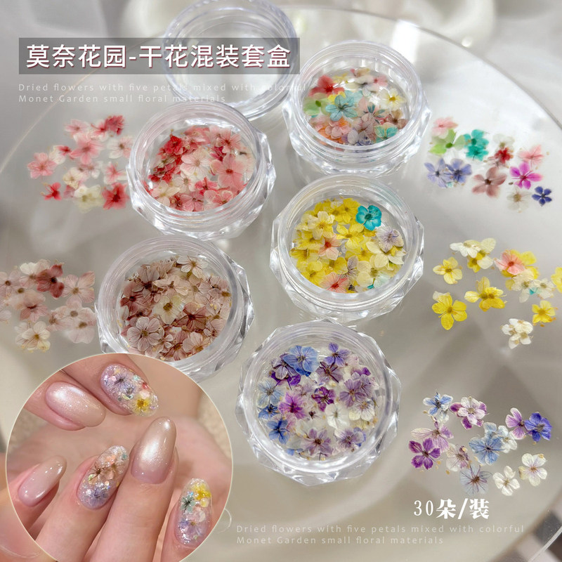 Monet Garden Ins-Style Mini Nail Art Dried Flower Materials Mixed Colorful Natural Pressed Flowers Dried Flowers Nail Decoration Accessories Monet Garden Ins-Style Mini Nail Art Dried Flower Materials Mixed Colorful Natural Pressed Flowers Dried Flowers Nail Decoration Accessories